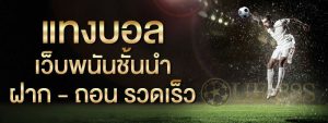 แทงบอลฟรีเครดิต