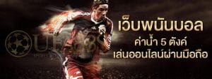 เว็บแทงบอล แจกเครดิตฟรี